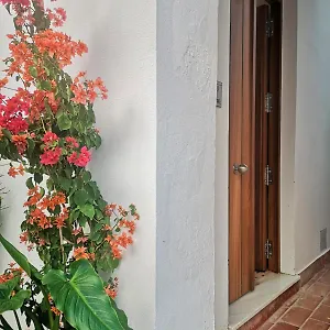 Erizo 3 Loft Diafáno En El Centro Histórico Apartamento Tarifa